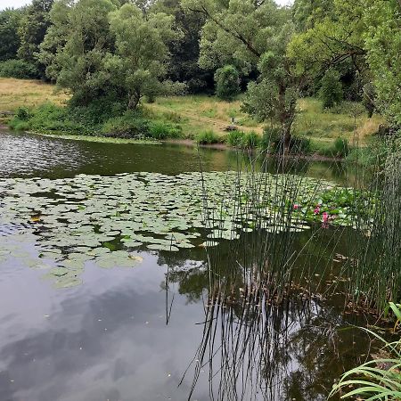 Haus Am Sonnenberg Lägenhet Ulmen Exteriör bild