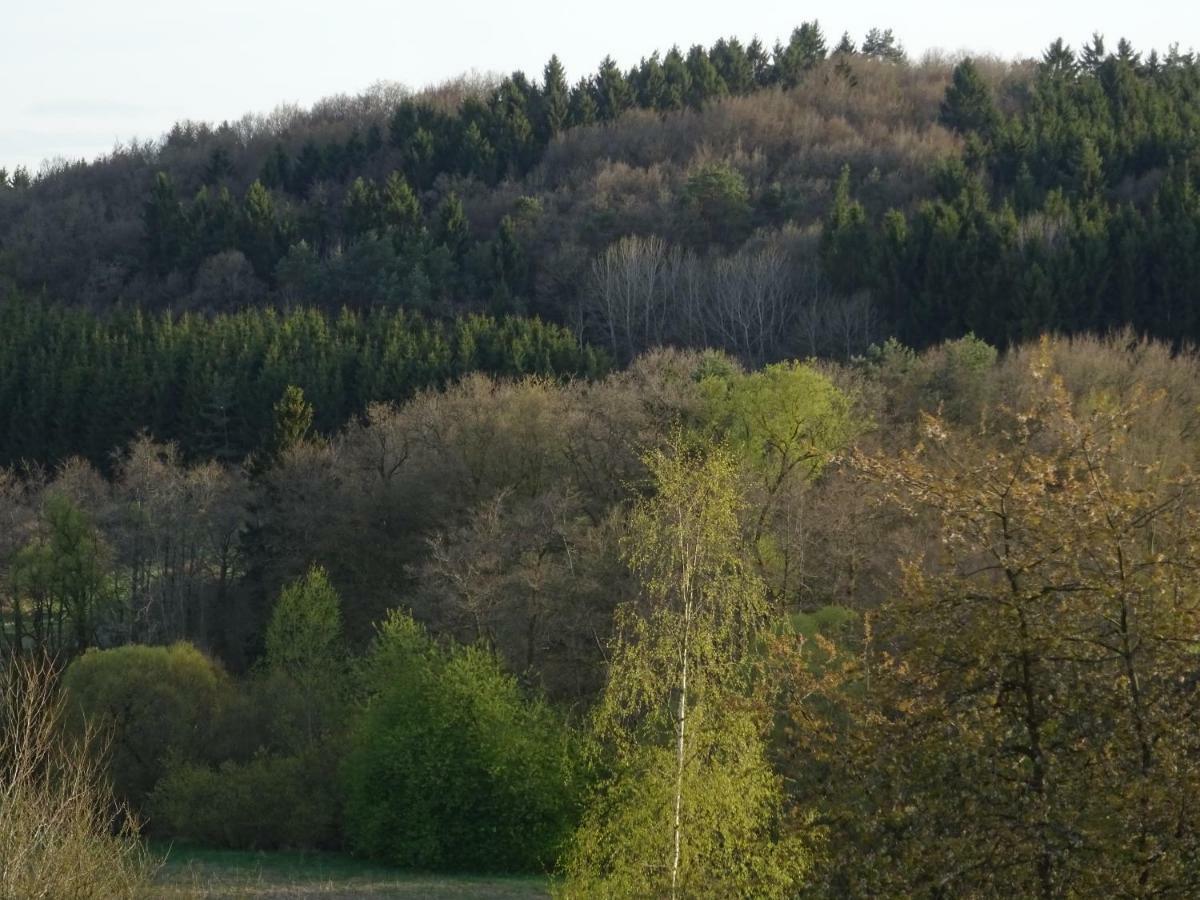 Haus Am Sonnenberg Lägenhet Ulmen Exteriör bild